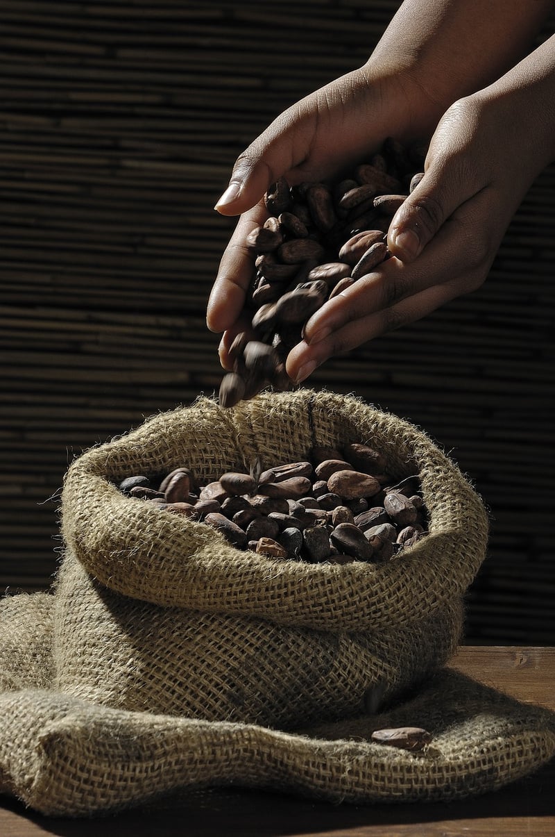 Chocolate Truffles